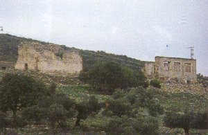 Ruinas de Torrealquera